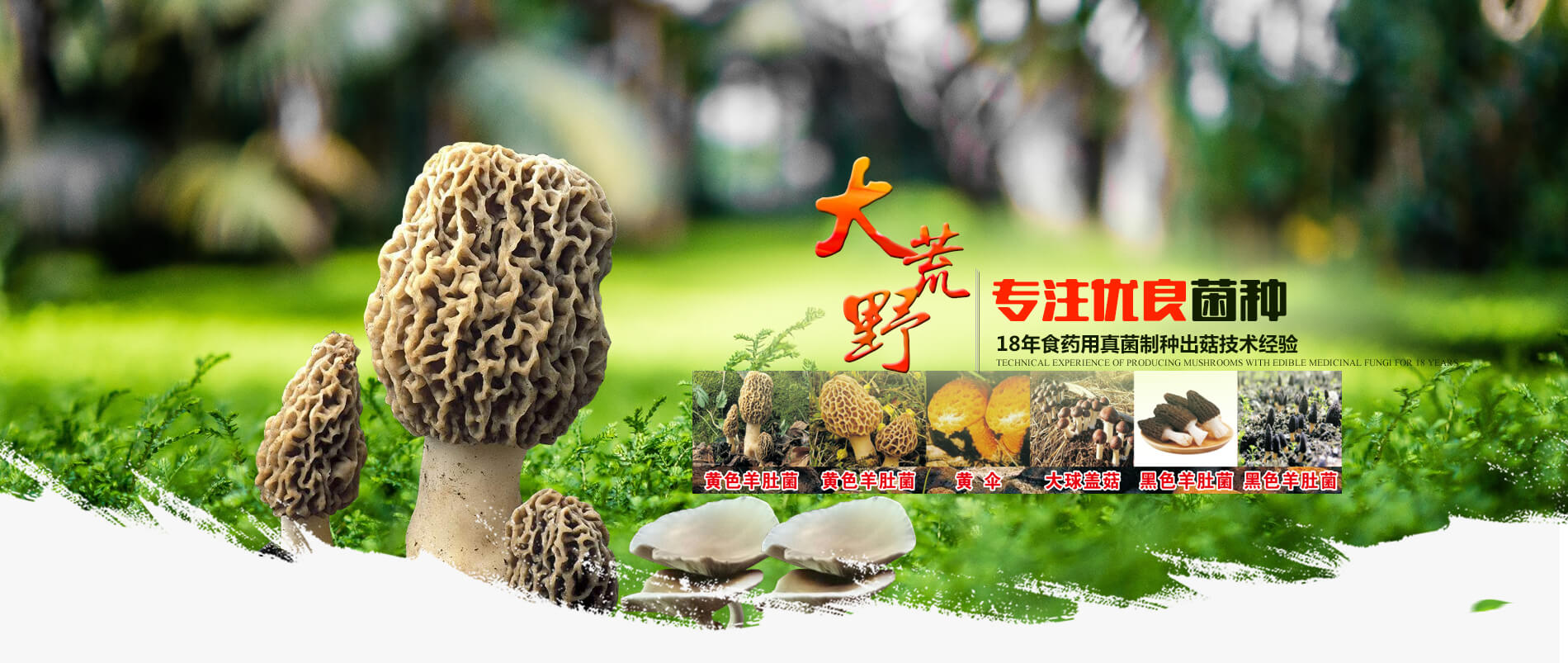 洛陽(yáng)大荒野生態(tài)農(nóng)業(yè)有限公司