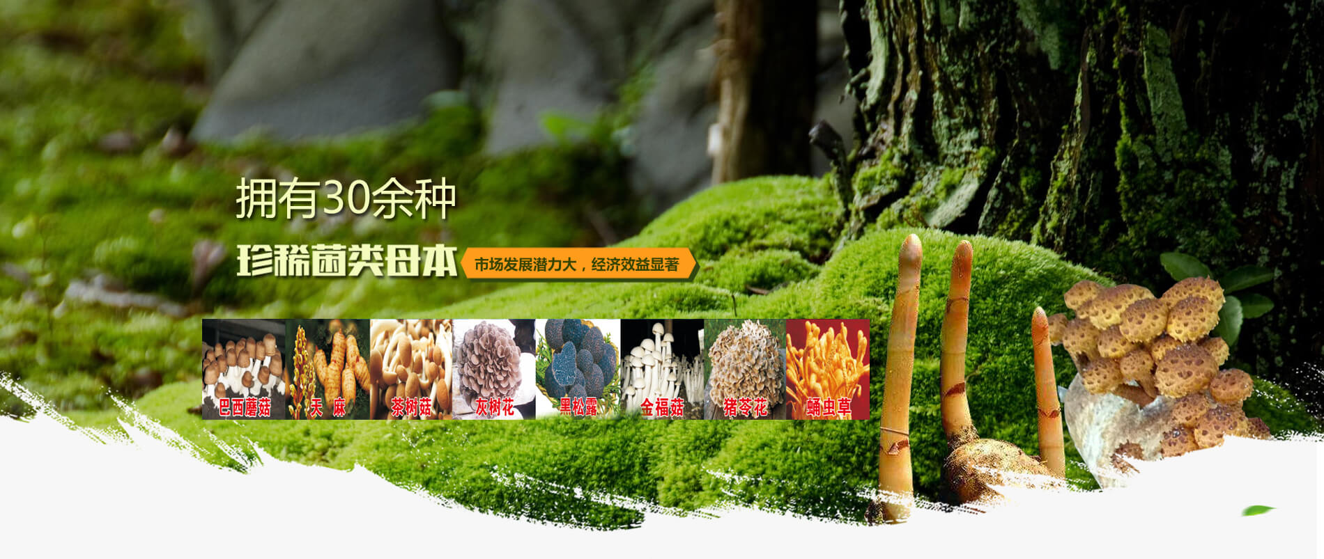 洛陽(yáng)大荒野生態(tài)農(nóng)業(yè)有限公司