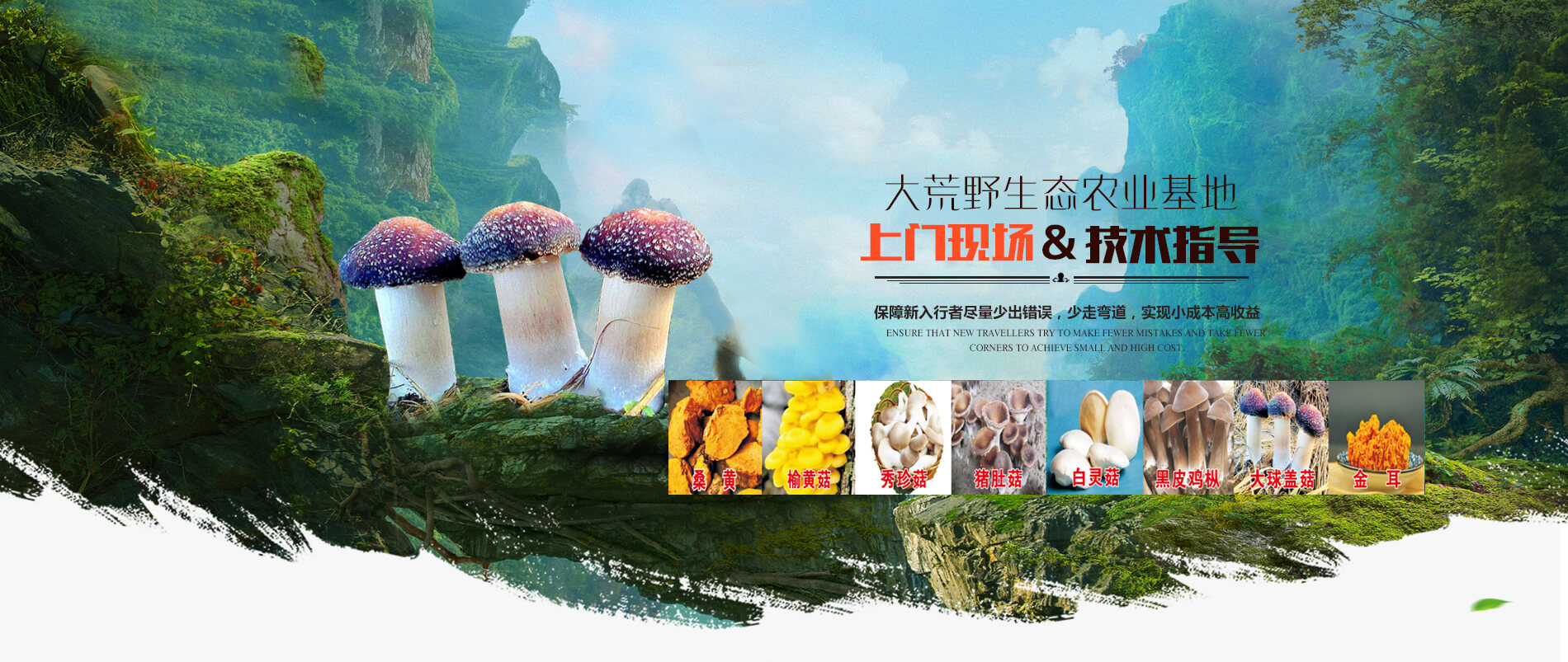 洛陽(yáng)大荒野生態(tài)農(nóng)業(yè)有限公司